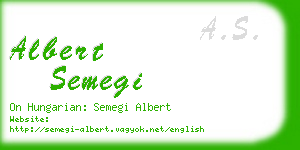 albert semegi business card